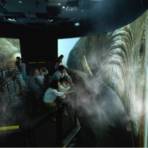 Fog Vapor Elephant Effects